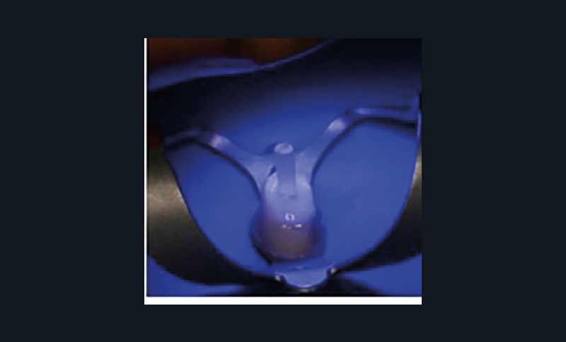 visuels_bartala-brousseaud_page_3_image_00031-tt-width-800-height-484-fill-1-crop-0-bgcolor-12181f-isLogoProxy-0-post_id-218244