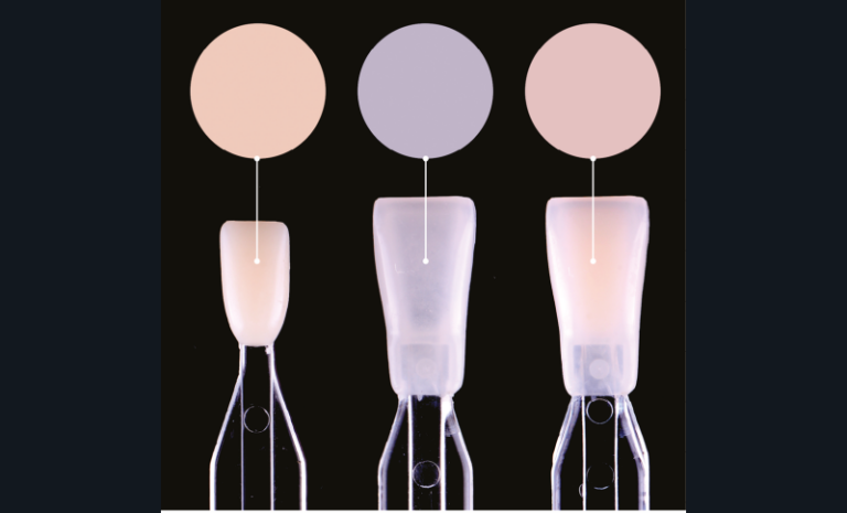 10. Illustration des échantillons dentinaire et amélaire seuls puis combinés.
