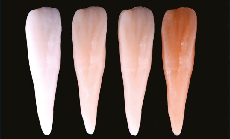 23a. Échantillons dentinaires issus du Custom_Eyes2.0, Light Dentin, Medium Dentin et Dark Dentin.