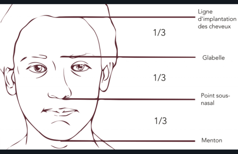 21. Égalité théorique des trois étages de la face.